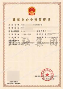 特种工程专业承包资质