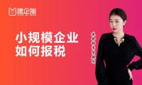 小规模企业报税