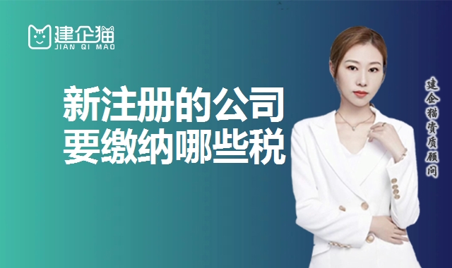 公司注册