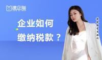 代理报税
