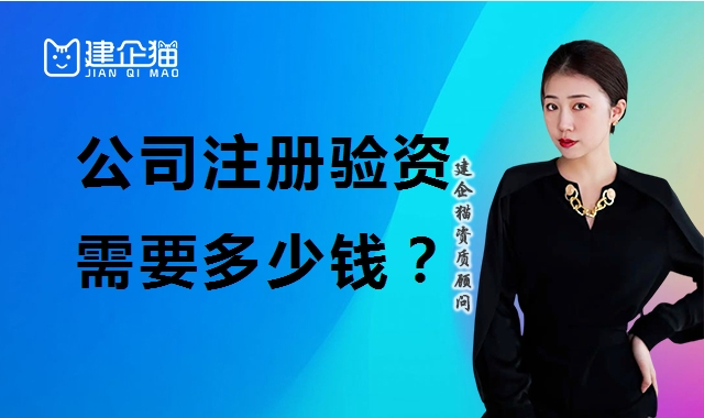 验资报告
