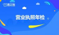 工商年报