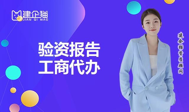 验资报告