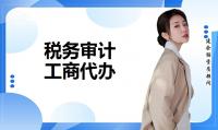 税务审计