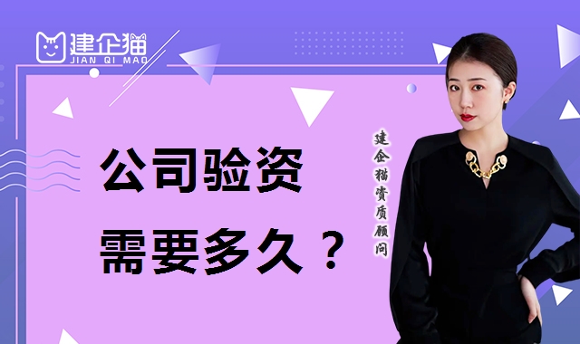 验资报告
