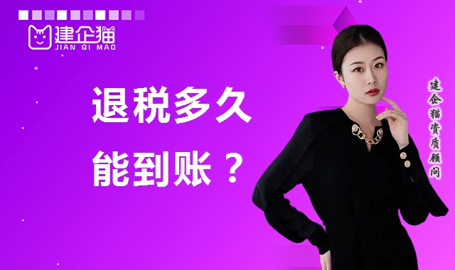 代理报税