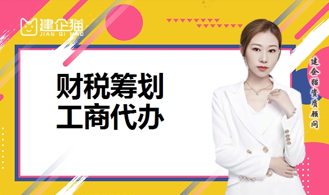 财税筹划
