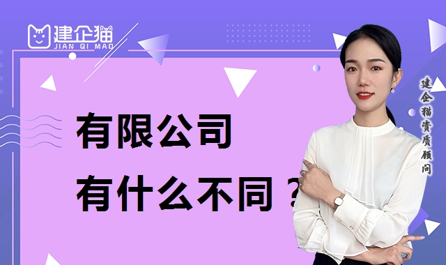 公司注册