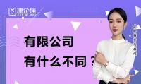公司注册