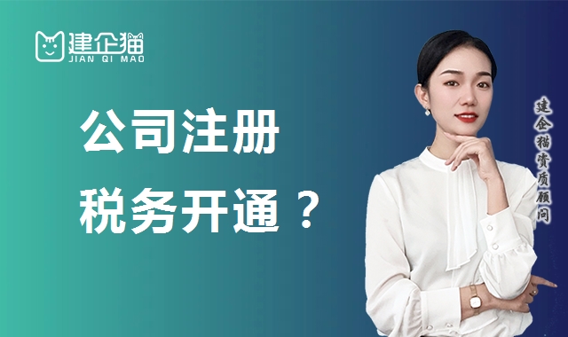代理报税
