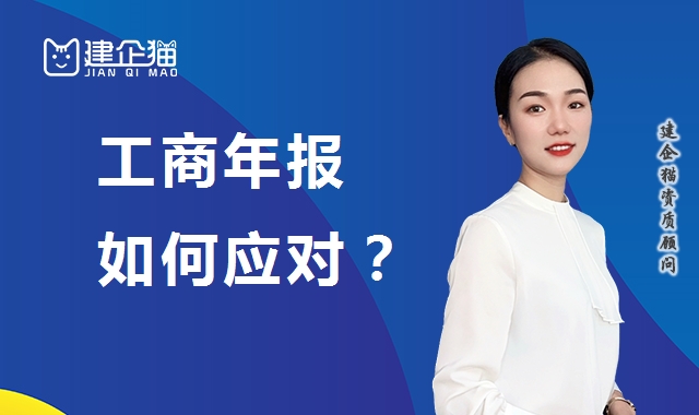 工商年报
