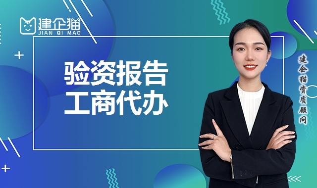 验资报告