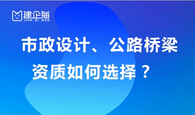 公司解异常
