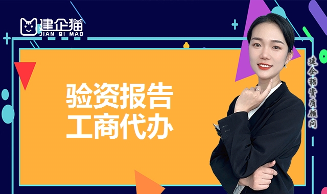 验资报告